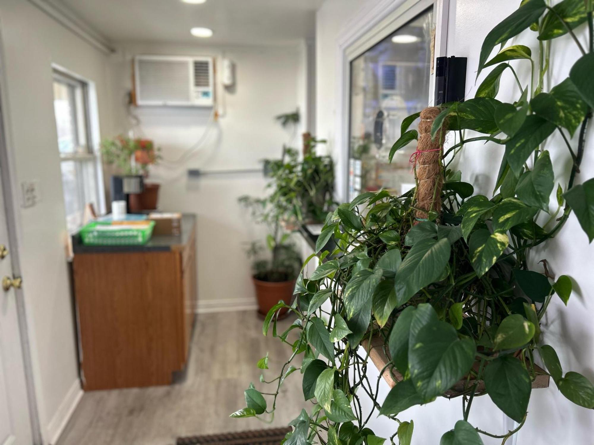 Hillcrest Motel By Oyo Aurora Near Lawrenceburg מראה חיצוני תמונה